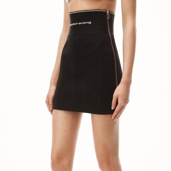 Alexander Wang Dresses & Skirts - Alexander Wang Black Mini Skirt with Zipper Detail
